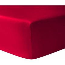 Umberto Ravelli – Drap housse coton 90 x 190 cm – Fuchsia – Largeur, Longueur, Dimension du matelas, Matières