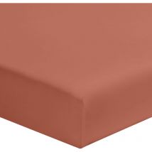 Drap housse terracotta 100% coton bonnet 30 cm 80x190 cm