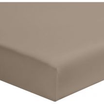 Drap housse biscuit 100% coton bonnet 30 cm 120x190 cm