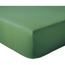 Drap housse coton evasion Bonnet de 23 cm 120x190 cm