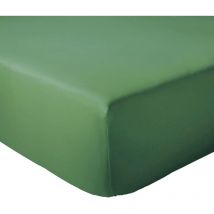Drap housse coton evasion Bonnet de 30 cm 120x190 cm