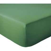 Drap housse coton EVASION Bonnet de 30 cm 140x190 cm