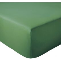 Drap housse coton evasion Bonnet de 40 cm 90x190 cm