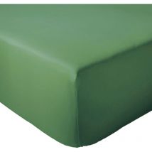 Drap housse coton evasion Bonnet de 40 cm 160x200 cm