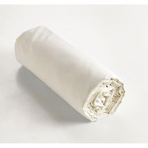 Drap housse coton luxe 140 x 190 cm bonnet 30 cm Ambre Beige