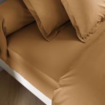 Drap housse coton percale bonnet 30 cm Sahara 140x200 - SOMEO - MORPHEE