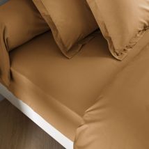 Drap housse coton percale bonnet 40 cm Sahara 160x190 Someo morphee