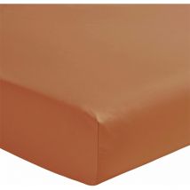 Drap housse Ecureuil en percale de coton 80 fils 180 x 200 cm