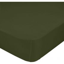 Drap housse Happyfriday basic Vert foncé 90 x 200 x 32 cm