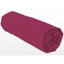 Drap-housse Lovely Home LH71608 - 160x200+35 cm - Fuchsia