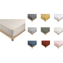 Drap Housse Percale - Bonnet 30 Cm - 200x180cm - Marron Claire Naturel.