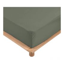 Drap Housse Percale - Bonnet 30 Cm - Plusieurs Tailles - Plusieurs Coloris - 90x190cm - Kaki homeflair