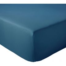 Drap housse en percale de coton uni passion percale Bonnet de 30 cm 80x200 cm