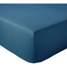 Drap housse en percale de coton uni passion percale Bonnet de 30 cm 160x200 cm