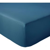 Drap housse en percale de coton uni passion percale Bonnet de 40 cm 160x200 cm