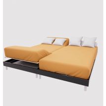 Drap housse tpr en coton 57 fils 2x80x200 cm uni moutarde, par Soleil d'Ocre