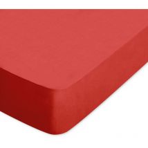 Drap housse uni coton alto Bonnet de 30 cm 90x200 cm