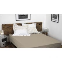Drap housse uni coton 57 fils beige 160x200 cm bonnet 35 cm
