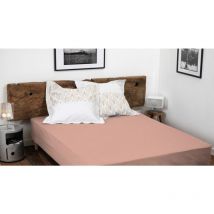 Drap housse uni coton 57 fils rose 160x200 cm bonnet 35 cm