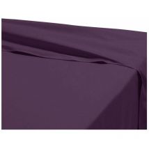 Doulito - Drap plat - 180 x 290 cm - 100% coton - 57 fils - France