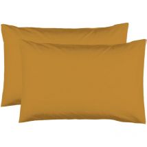 2 Taies d'oreiller 50 x 70 cm - Safran - 100% coton 57 Fils