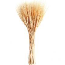 Dried Wheat Stalks, 100 Stems Wheat Sheaves for Decorating Wedding Table Home Kitchen