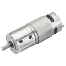 Motoriduttore dc DSMP420-12-0024-BF 025003 12 v/dc 5.5 a 1.0 Nm 248 giri/min Diametro albero - Drive System Europe By Msw