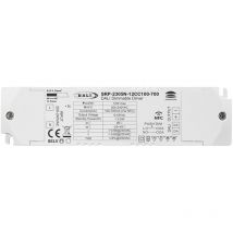 Sunricher - Driver Regulable dali DT6 Monocolor 220-240V - Salida 6-42V dc -