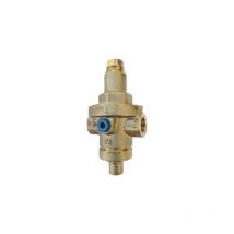Druckminderer PN40 mit 1" Ausgleichskammer – Hochwertige Leistung für Wasserdruckregulierung – 354-182-06