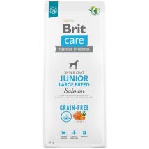 Aliments secs pour Jeunes Chiens (3 Mois - 2 Ans) - Grandes graines de Plus de 25 kg - sans Grain - Junior - 12 kg (100-172201) - Brit