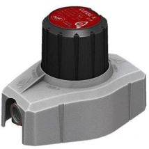 Detendeur sa 29MB M.M20X1,5 Q2,6