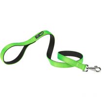 Ferplast - dual g colours Laisse en nylon pour chiens, 3 tailles et 4 couleurs . Variante G25/110 - Misure: 25 mm x l 110 cm - Vert acide