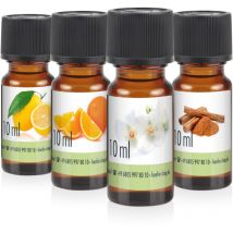 Höfer Chemie Gmbh - Duftöl-Set Nr. 3 mit 4 Duftnoten