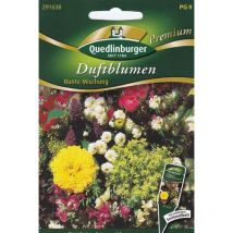 Quedlinburger Duftblumen Bunte Mischung - Premium Blumensamen