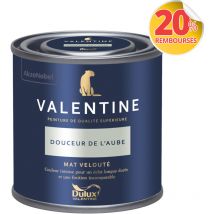 Peinture intérieure de haute qualité - Valentine - Couleur intense & pouvoir couvrant élevé - Mat Velouté Douceur de l'Aube 0,125 l - Dulux Valentine
