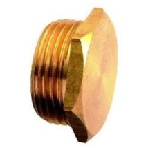 Raccord Laiton Bouchon Mâle Brut 8292 1/8''