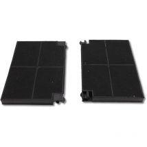 Roblin - Ersatzteil - 2er Set Kohlefilter 5403002 23cm x 15cm - - indesit zanussi, de dietrich, ariston hotpoint, progress, aeg, electrolux, brandt,