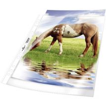 Durable - Pochette 2677 din A4 polypropylène 0.08 mm transparent 267719 50 pc(s)