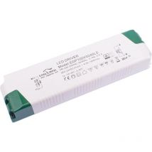 Eagle Rise EDP100V0240LS LED-Transformator 24 vdc 100 w