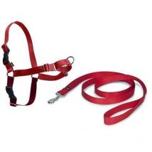 Harnais easywalk chien xl rouge cynnotek CY3119