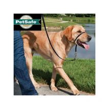 Licol easywalk chien s noir cynnotek CY3597