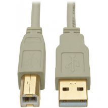 Tripplite - eaton tripp lite U022-006-BE câble usb 1,8 m usb a usb b Beige - Câbles usb (1,8 m, usb a, usb b, 1.1, Male Connector/Male Connector,