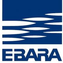 Ebara Submersible Pump Stainless Steel 1 1/4in Female Thread 1, 9A 230VAC Stainl