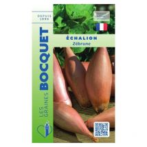 Echalion Zébrune - type cuisse de poulet - 1g