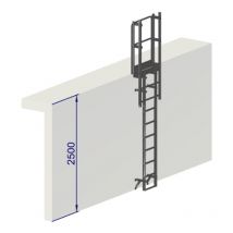 Echelle a crinoline hauteur à franchir 2,5 metres sans arceaux Norme nf 85-016