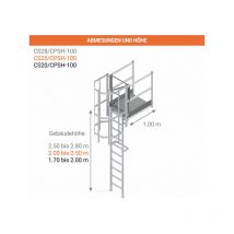 Echelle Direct - Echelle crinoline palier de sortie 1.00m - h. à franchir 4.70 à 5.00m - CS50-CPSH-100