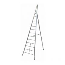 Echelle fruitière AG450