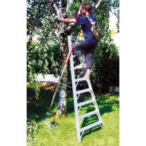 Echelle fruitière 6 barreaux sans pointe - Hauteur max travail 2.74m - SCA1969S/06-SCCSTO