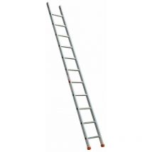 Echelle simple professionnelle 300