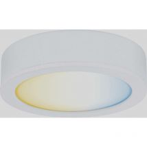 Paulmann - cc Disc Eclairage de vitrine 2.10 w blanc chaud blanc A671592